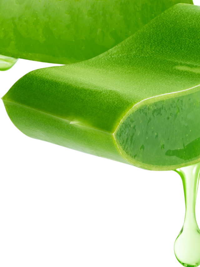 Aloe vera Benefits: కలబంద దుష్ప్రభావాలు